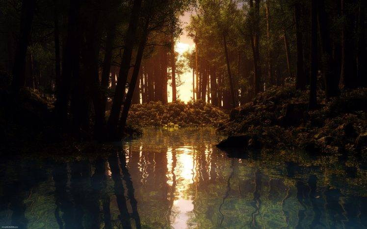 water, Reflection, Lake, Forest, Sunset, Trees HD Wallpaper Desktop Background