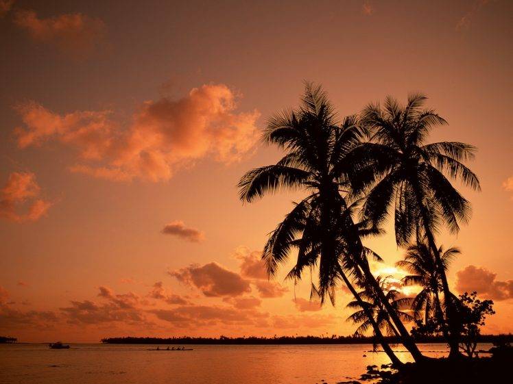 nature, Palm Trees, Sea, Sunset HD Wallpaper Desktop Background