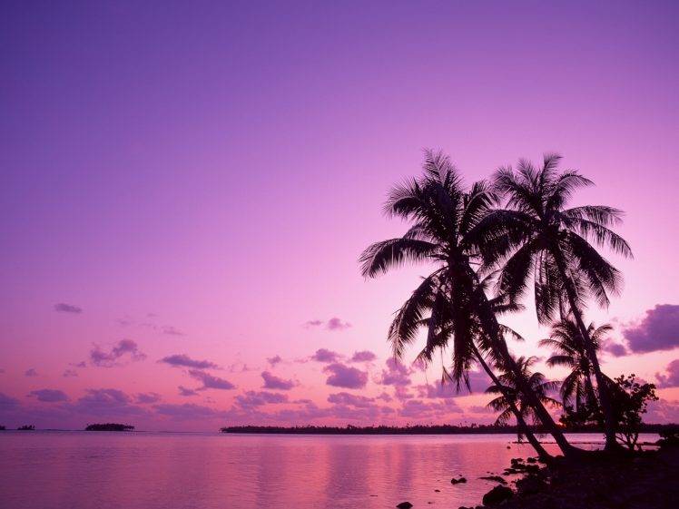 nature, Palm Trees, Sea HD Wallpaper Desktop Background