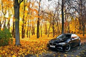 car, BMW, Leaves, Trees, Road