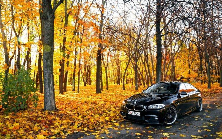 car, BMW, Leaves, Trees, Road HD Wallpaper Desktop Background