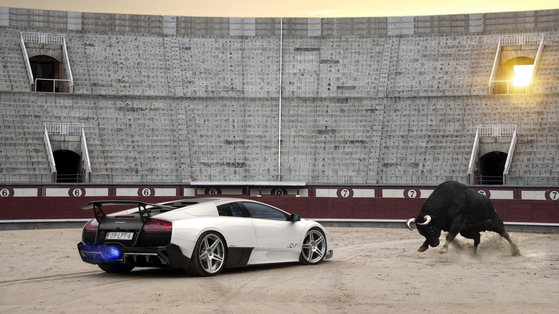 car, Lamborghini, Bulls Wallpaper