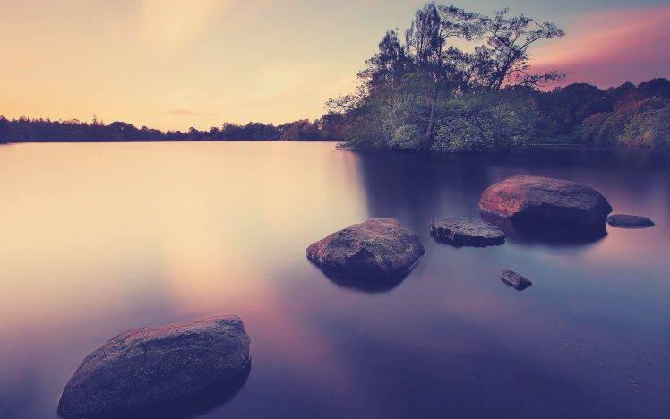water, Sunset, Trees, Forest, Rock, Nature HD Wallpaper Desktop Background