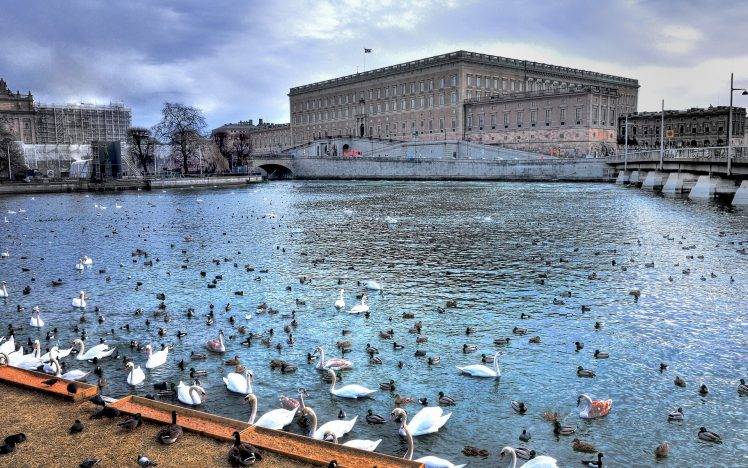 cityscape, River, Animals, Stockholm, Sweden HD Wallpaper Desktop Background