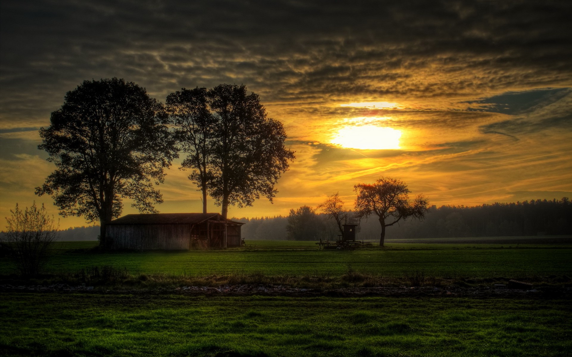sunset, Nature, Trees Wallpaper