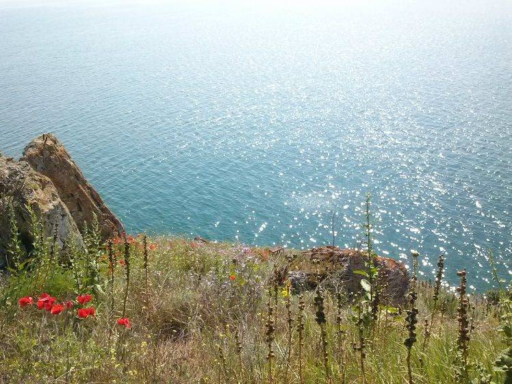 nature, Landscape, Bulgaria, Flowers, Sea HD Wallpaper Desktop Background