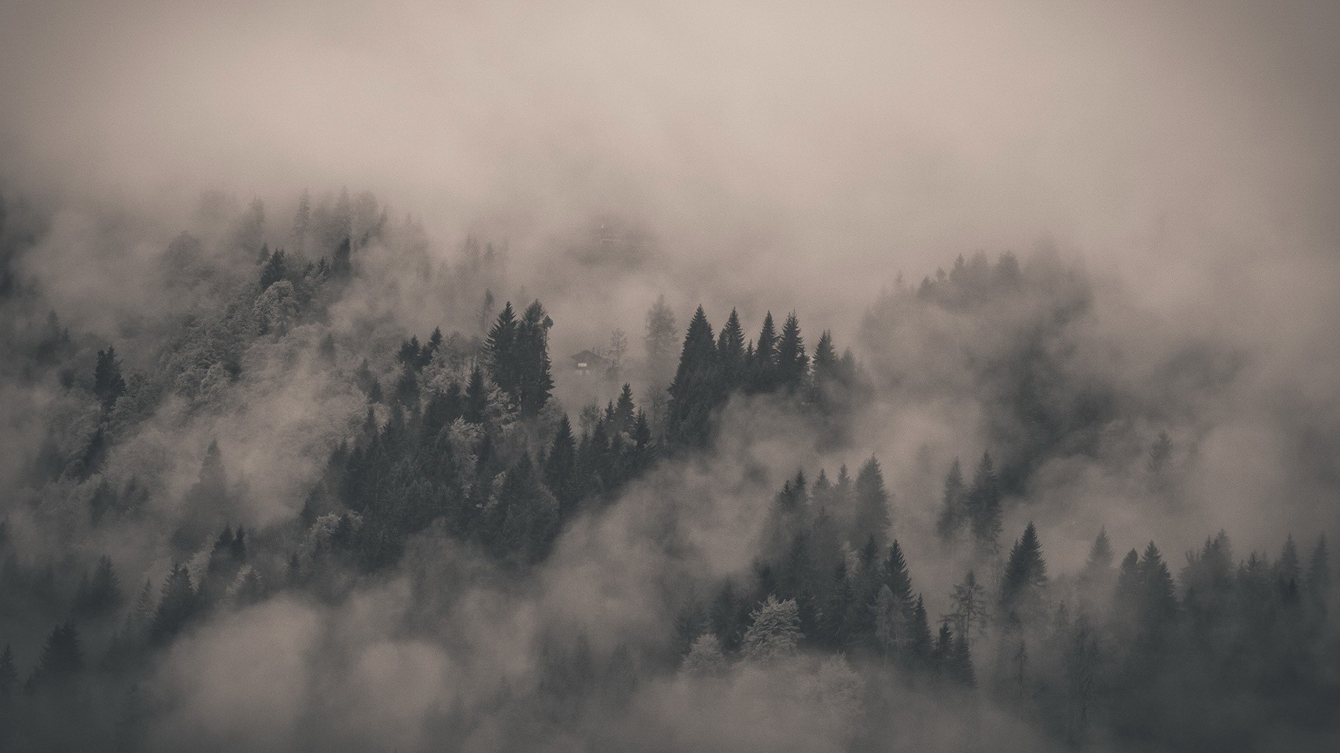 nature Wallpaper