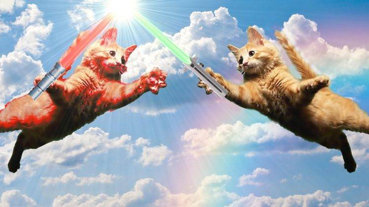 Jedi, Cat, Humor, Lightsaber HD Wallpaper Desktop Background
