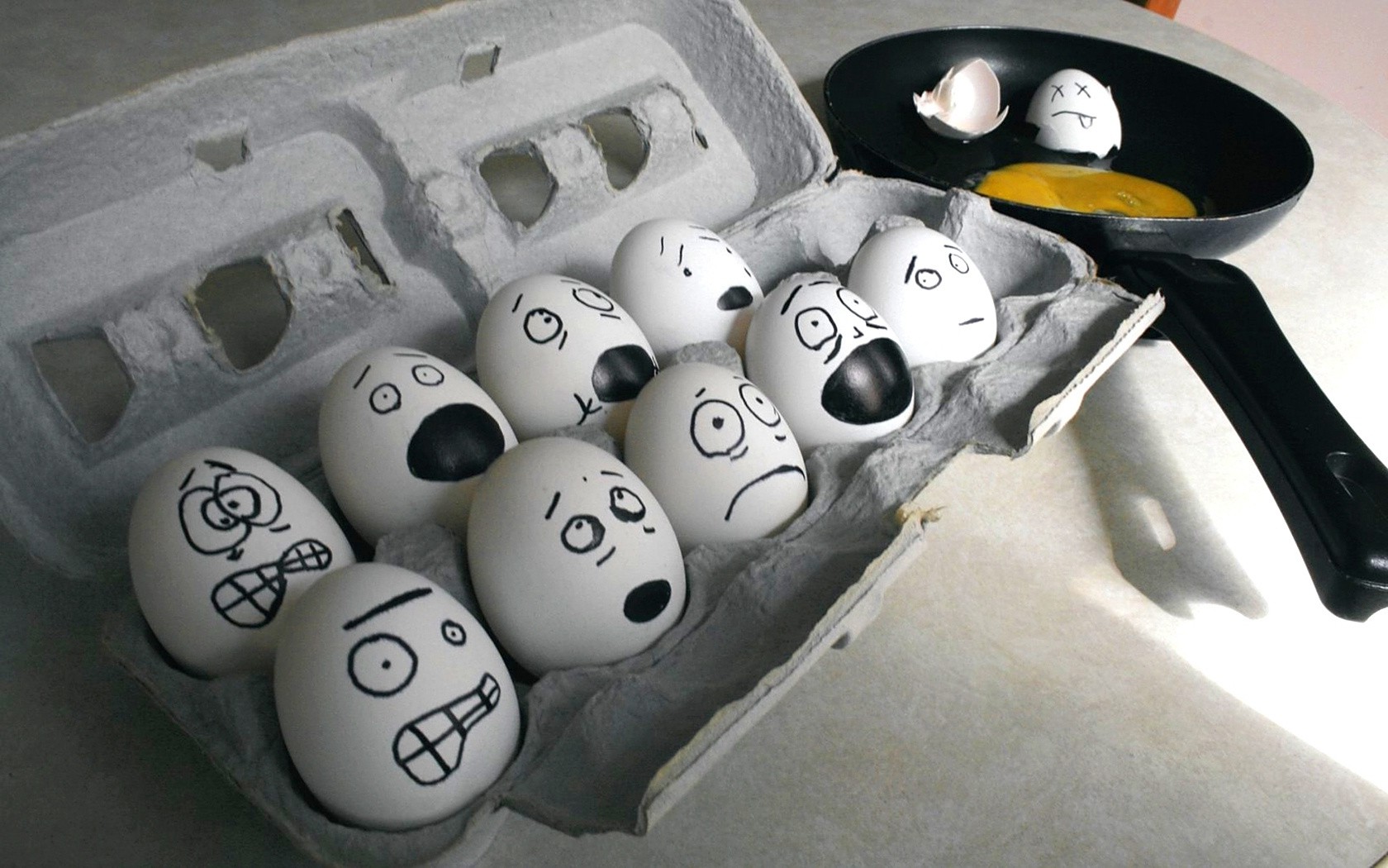 eggs, Humor Wallpaper