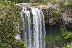 waterfall, New Zealand, Nature