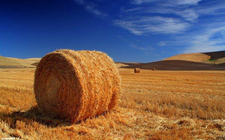 haystacks, Landscape, Field HD Wallpaper Desktop Background