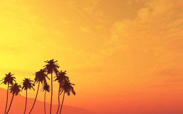 nature, Beach, Sunset HD Wallpaper Desktop Background