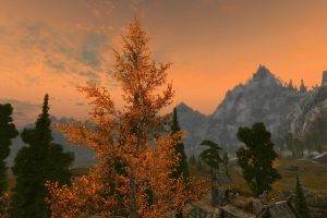 The Elder Scrolls V: Skyrim, Nvidia