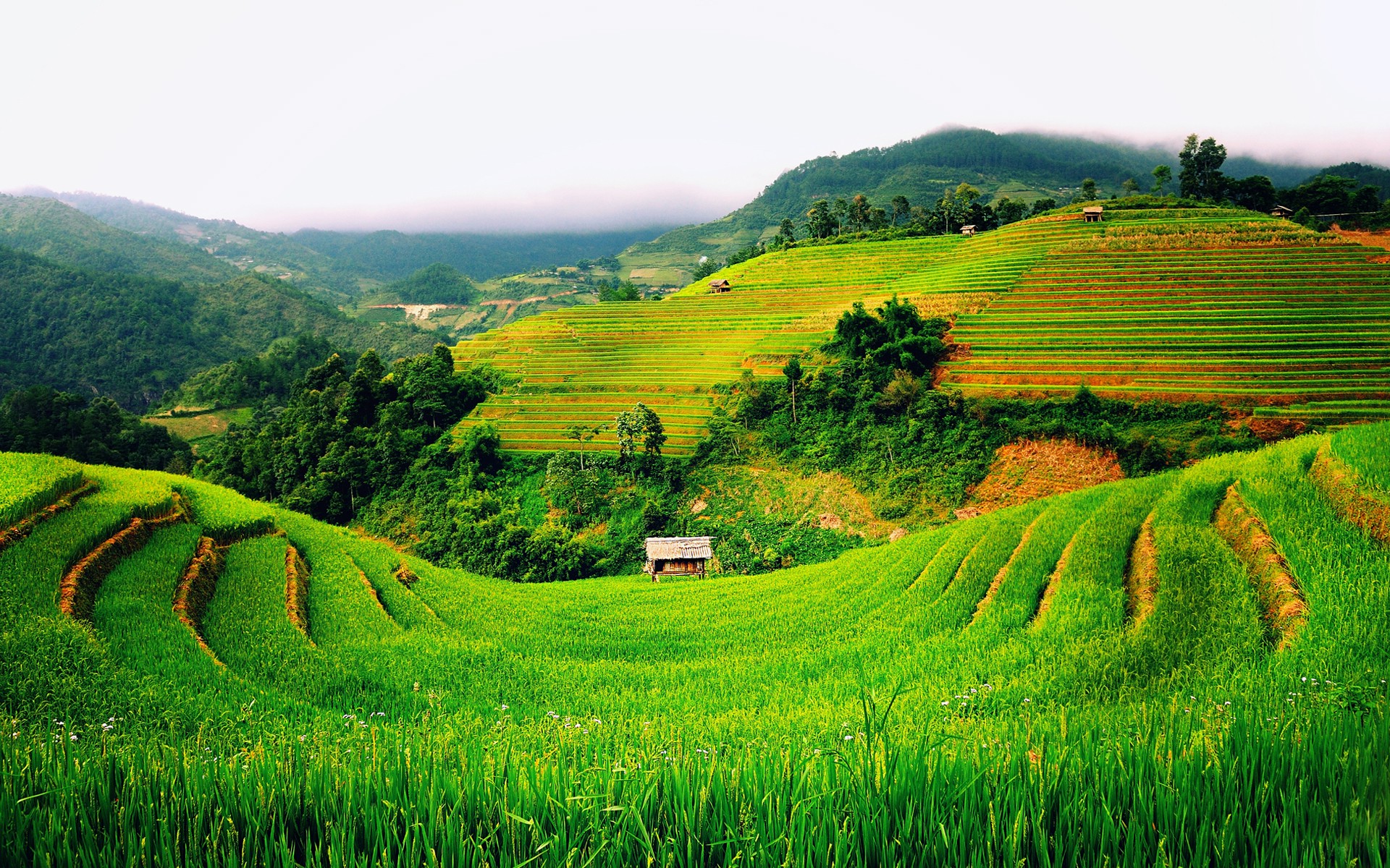 nature, Landscape, Grass Wallpaper