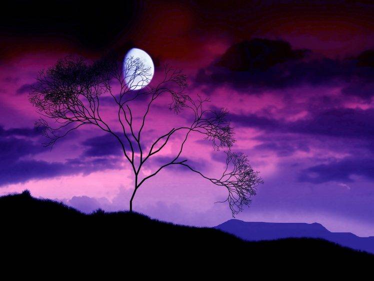landscape, Sunset, Sky, Moonlight, Moon, Trees HD Wallpaper Desktop Background
