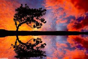 nature, Reflection, Clouds, Trees