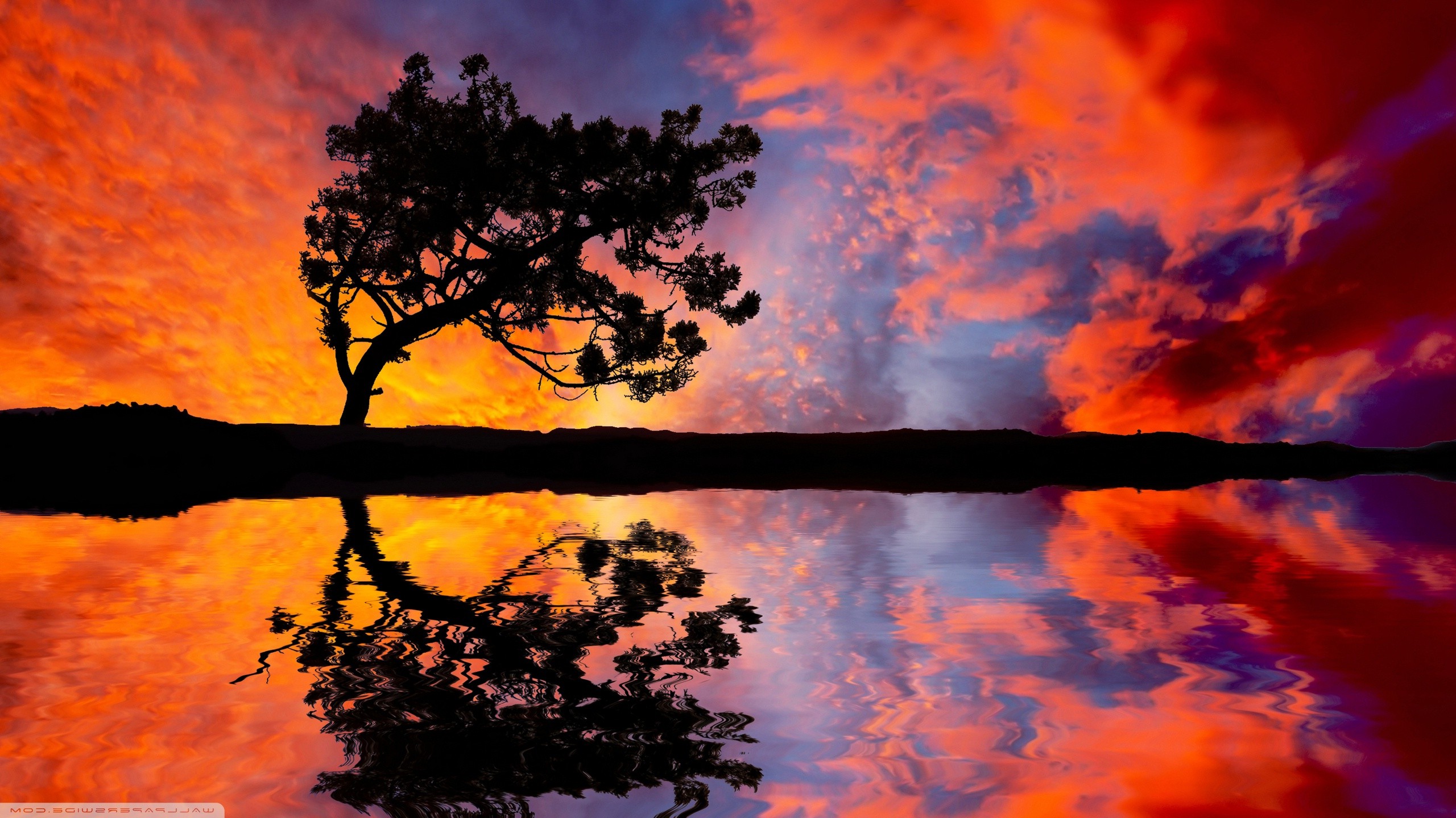nature, Reflection, Clouds, Trees Wallpaper