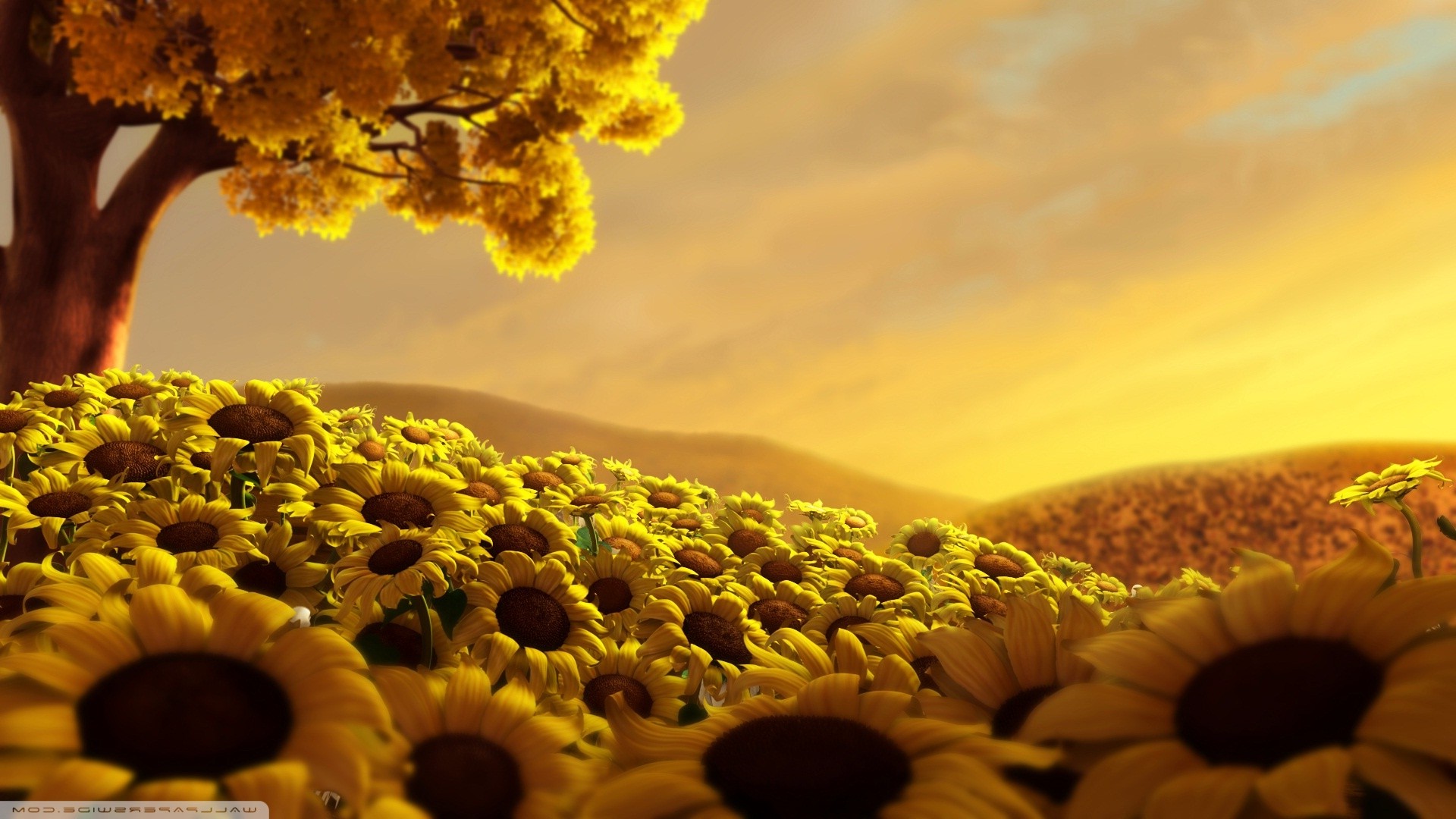 nature, Sunflowers Wallpaper