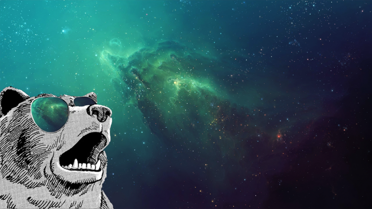 space, Bears, Sunglasses HD Wallpaper Desktop Background
