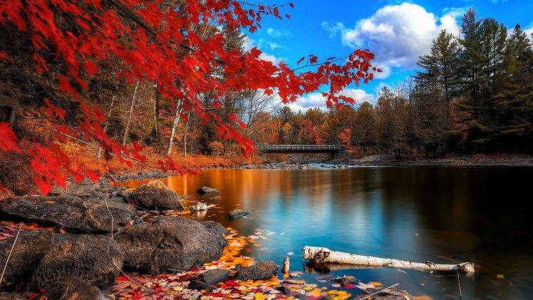 river, Nature, Trees, Fall HD Wallpaper Desktop Background