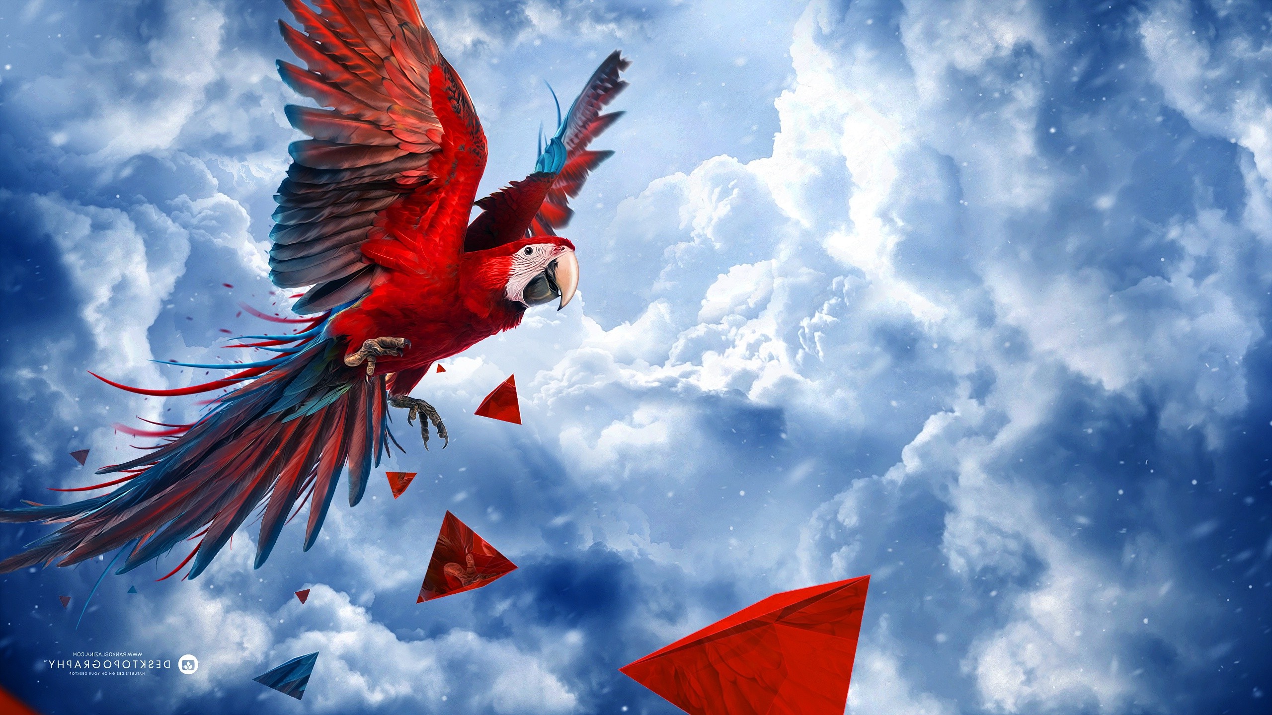 Desktopography, Nature, Animals, Birds, Sky, Digital Art Wallpaper