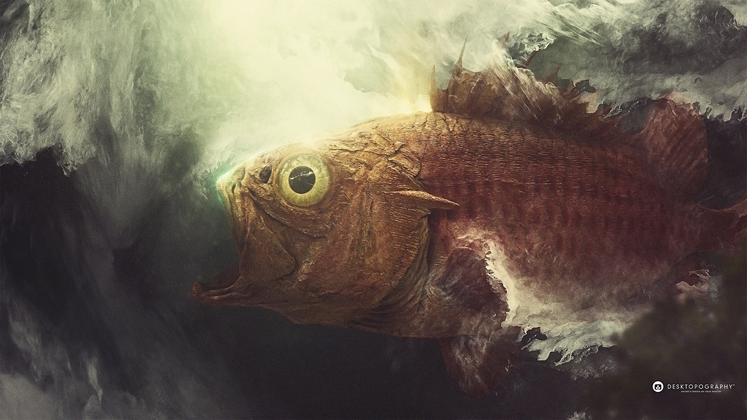 Desktopography, Nature, Animals, Fish, Digital Art Wallpaper