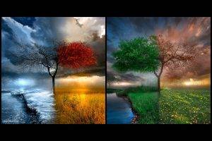 seasons, Nature