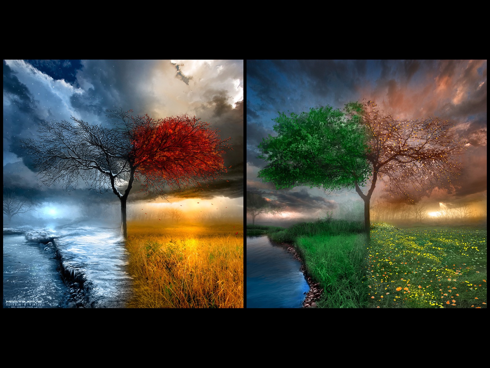 seasons, Nature Wallpaper