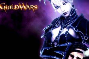Guild Wars, Necromancers, Video Games