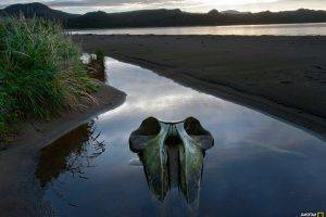 National Geographic, Skull, River, Chile