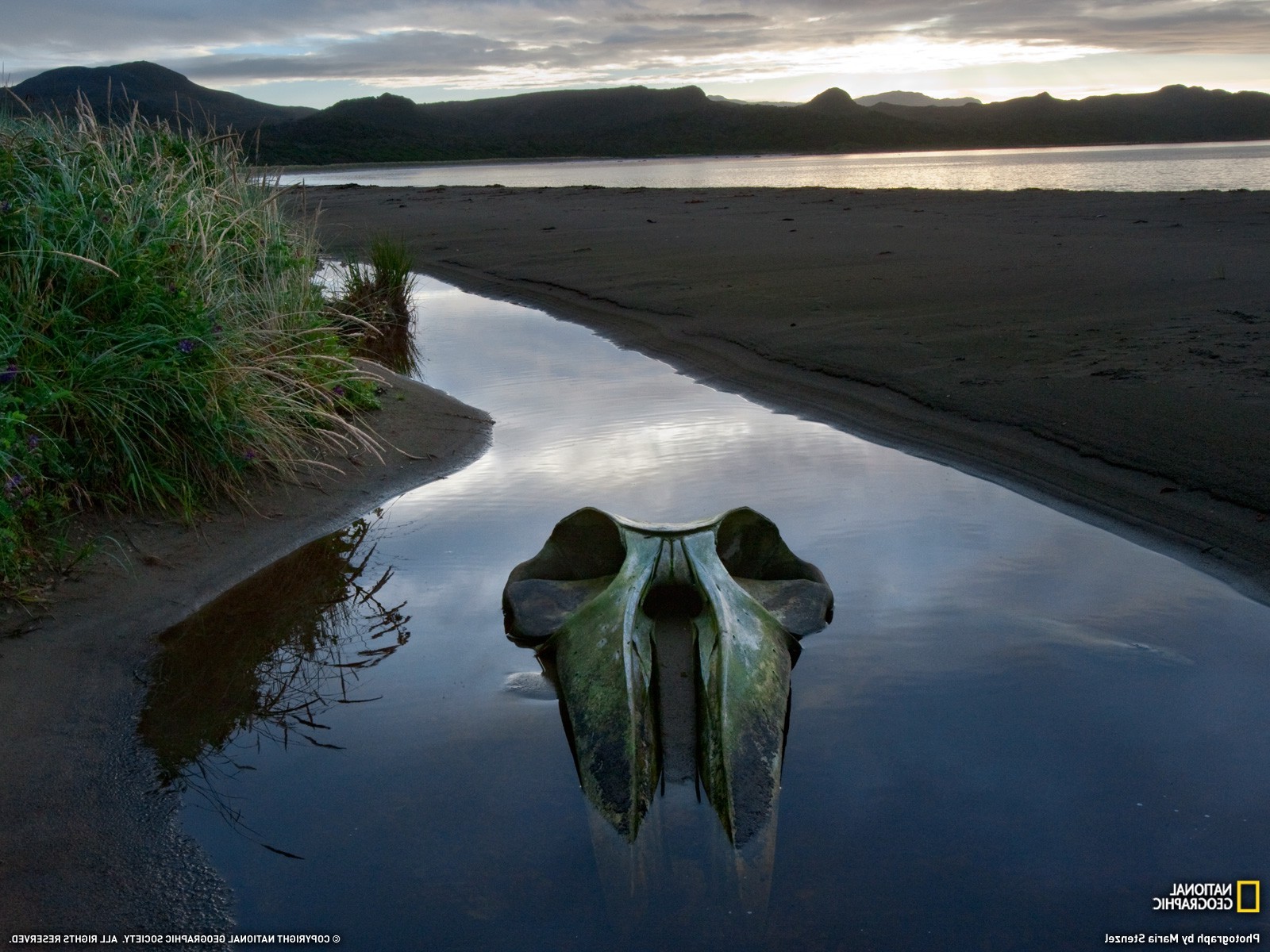 National Geographic, Skull, River, Chile Wallpaper