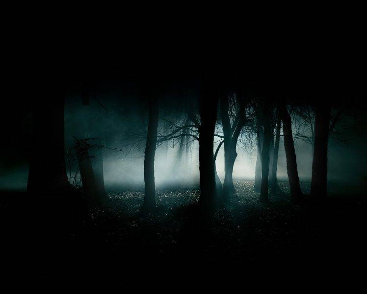 trees, Mist, Nature HD Wallpaper Desktop Background