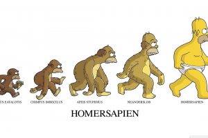 The Simpsons, Homer Simpson, Humor, Evolution