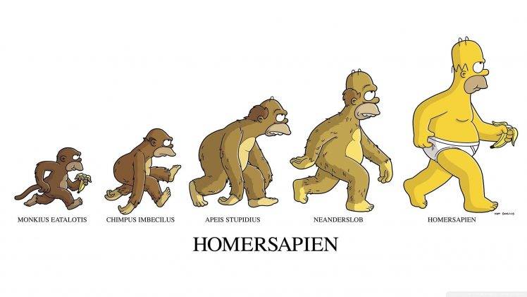The Simpsons, Homer Simpson, Humor, Evolution HD Wallpaper Desktop Background