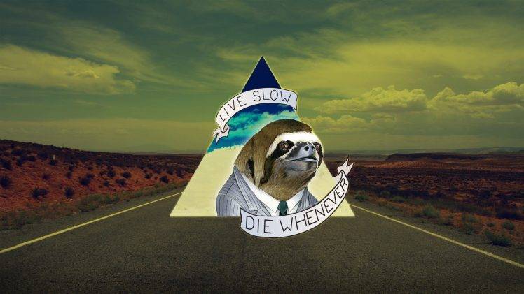 humor, Sloths, Road, Life, Death, Triangle HD Wallpaper Desktop Background