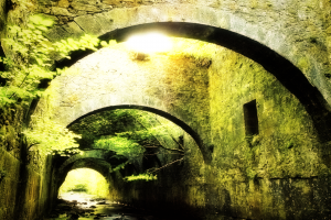 medieval, Bridge, Stones, Green, Nature, Plants, Water