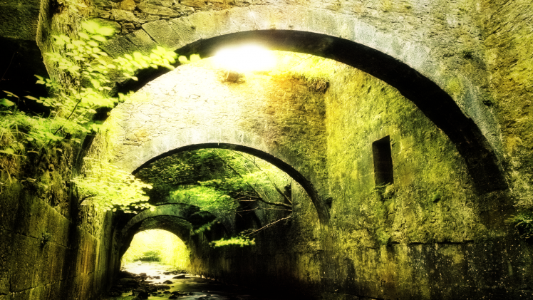 medieval, Bridge, Stones, Green, Nature, Plants, Water HD Wallpaper Desktop Background