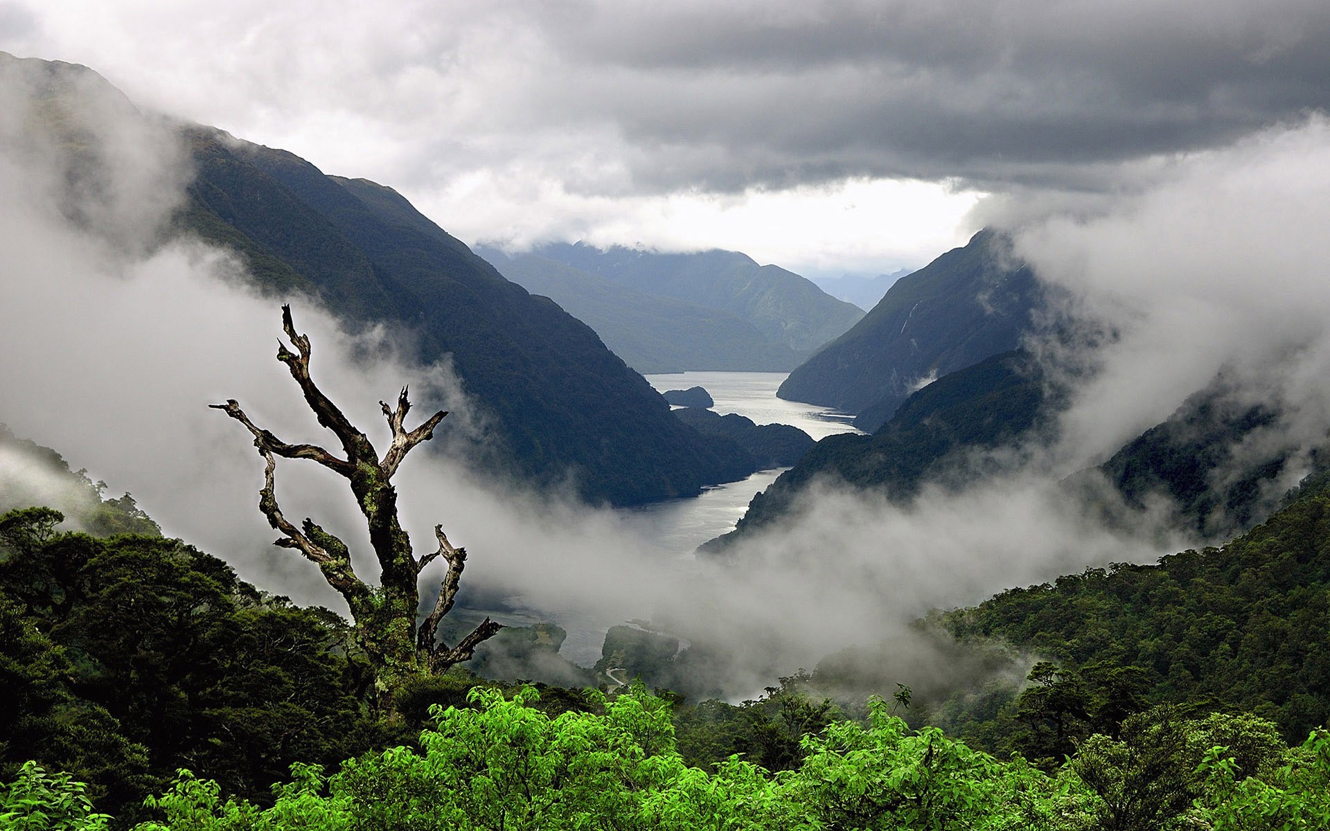 landscape Wallpaper