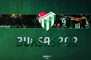 Bursaspor, UEFA, Turkey, Soccer Clubs, Soccer