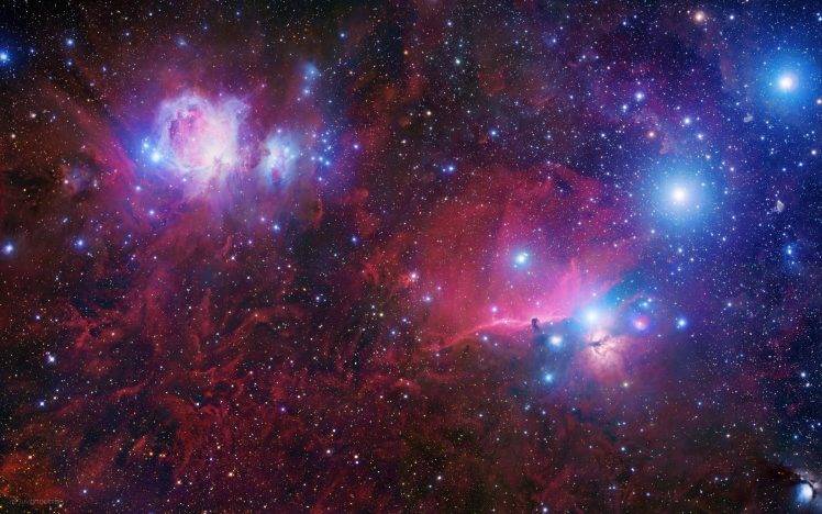 nebula, Stars, Space, Horsehead Nebula HD Wallpaper Desktop Background