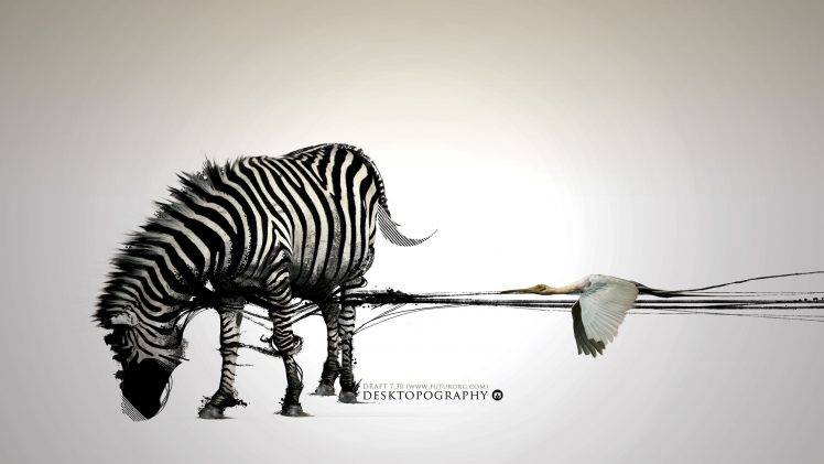 Desktopography, Zebras, Digital Art HD Wallpaper Desktop Background