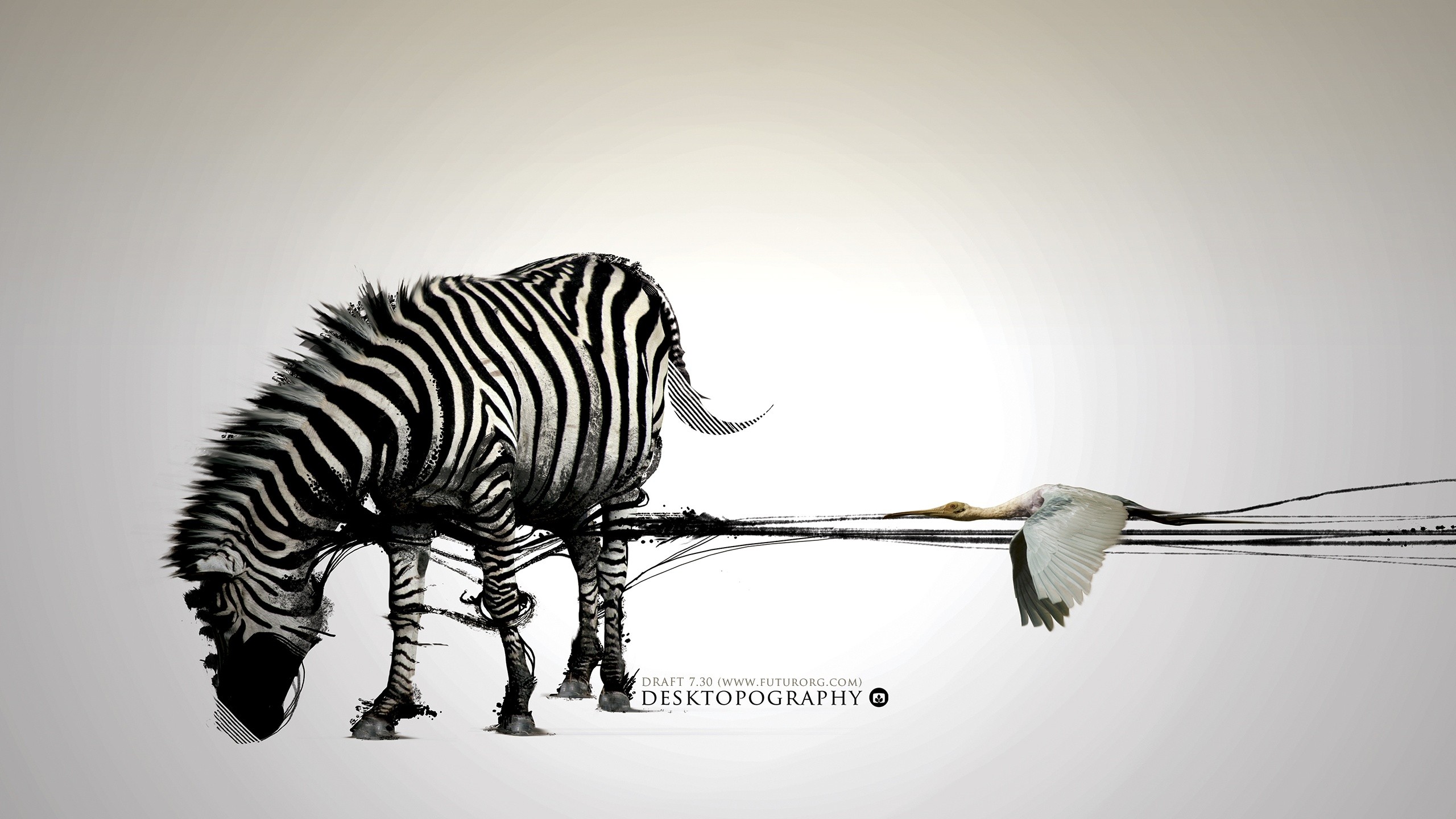 Desktopography, Zebras, Digital Art Wallpaper