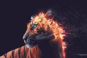 Desktopography, Fire, Artwork, Animals, Digital Art, Tiger