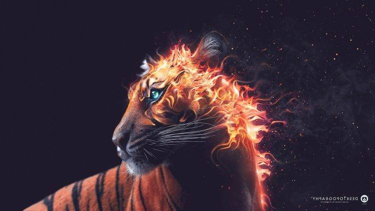 Desktopography, Fire, Artwork, Animals, Digital Art, Tiger HD Wallpaper Desktop Background