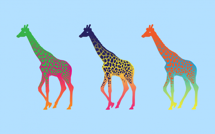 giraffes, Colorful, Animals HD Wallpaper Desktop Background