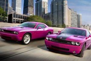 Dodge Challenger, Car, Purple