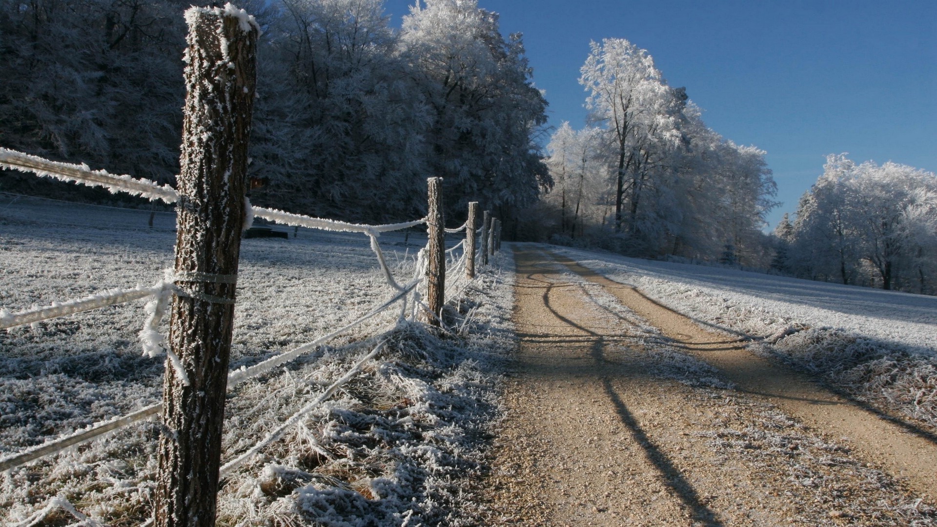 nature, Fence, Path, Snow, Trees Wallpaper