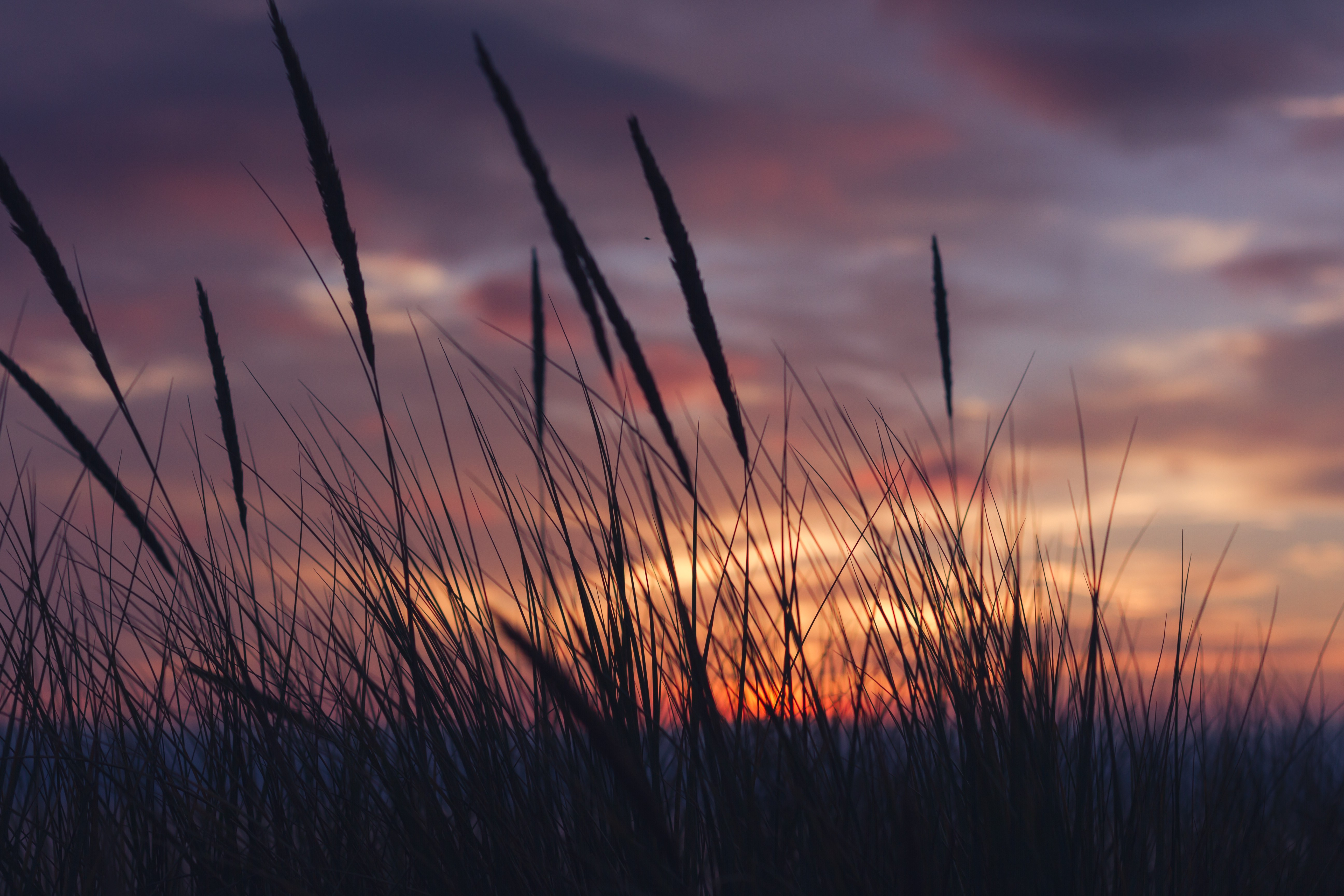 sunset, Grass, Landscape, Clouds Wallpaper