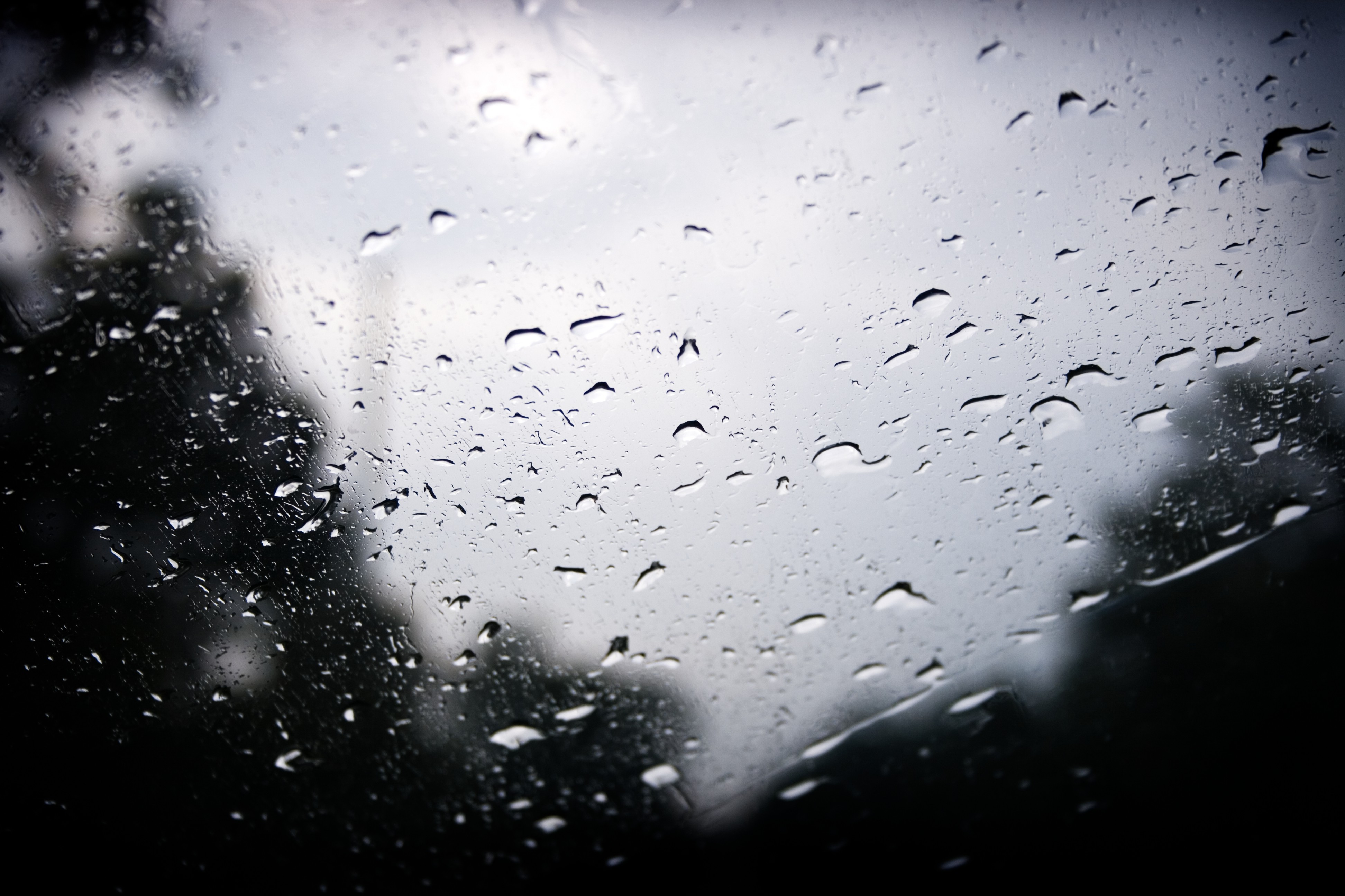 nature, Water On Glass Wallpaper