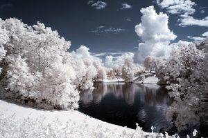 nature, Winter, Snow, Trees, Water, Pond